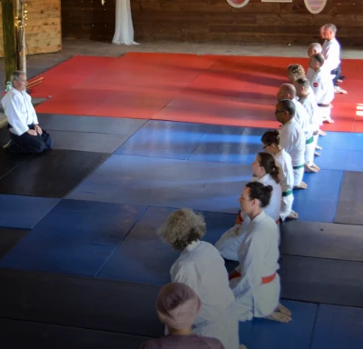 Aikido training group session