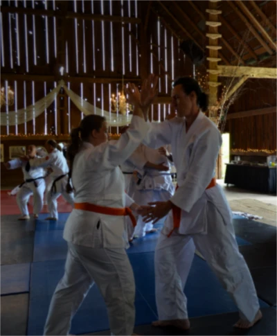 Aikido training focus
