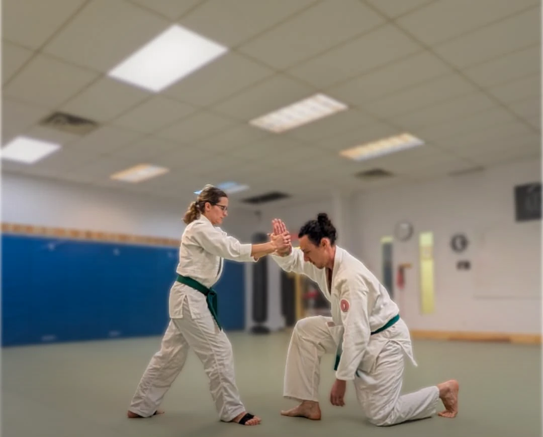 Aikido training focus